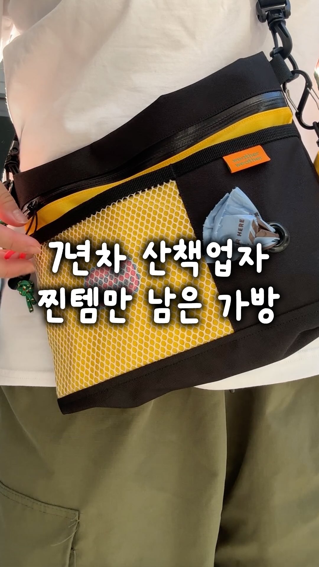 퀸즈베리 블루베리