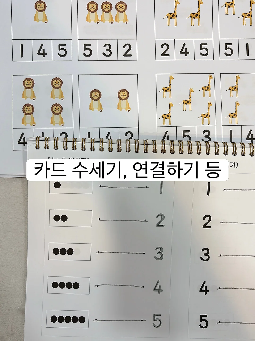 페인트 6