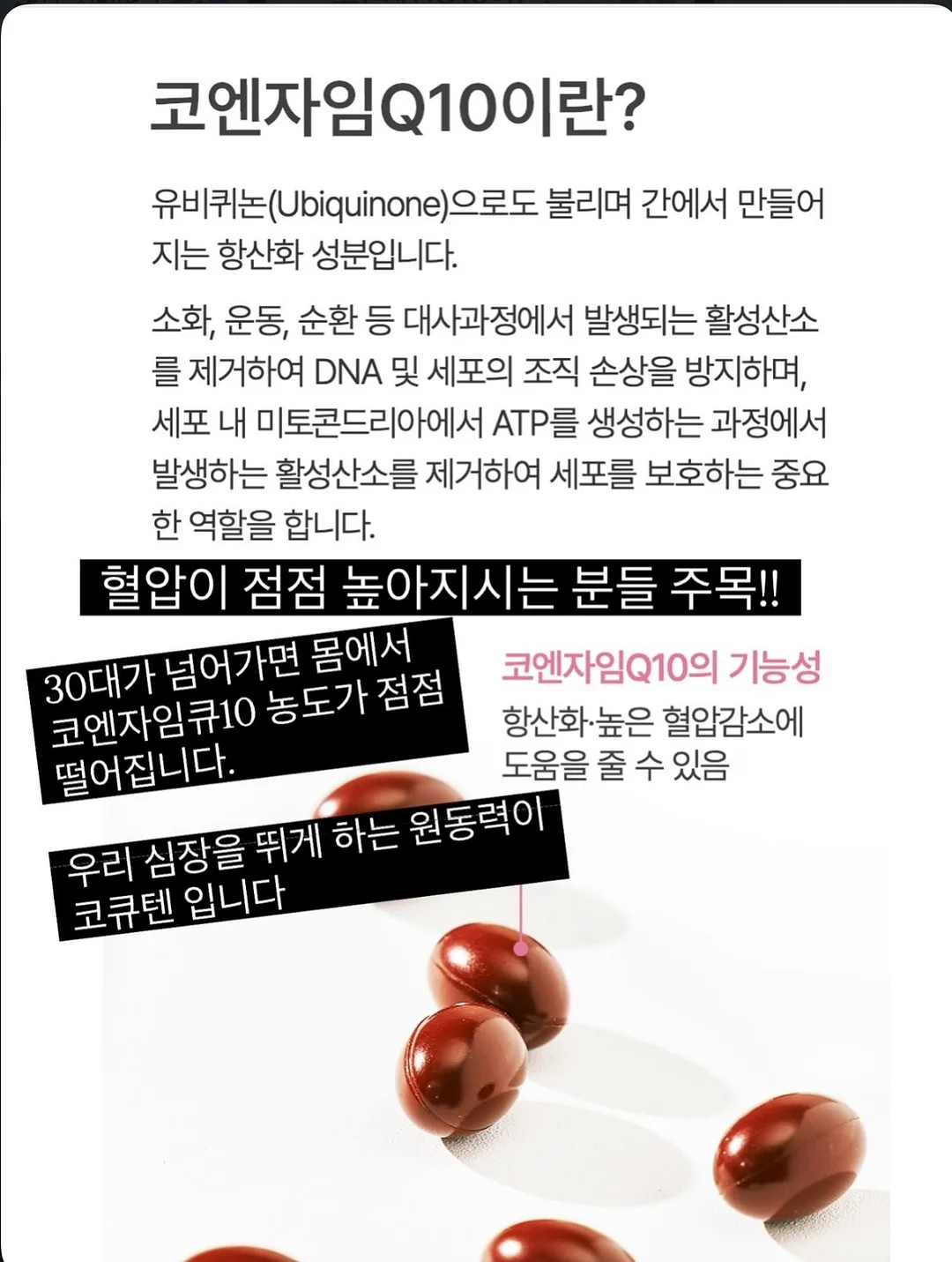 제주 꽃바구니 2