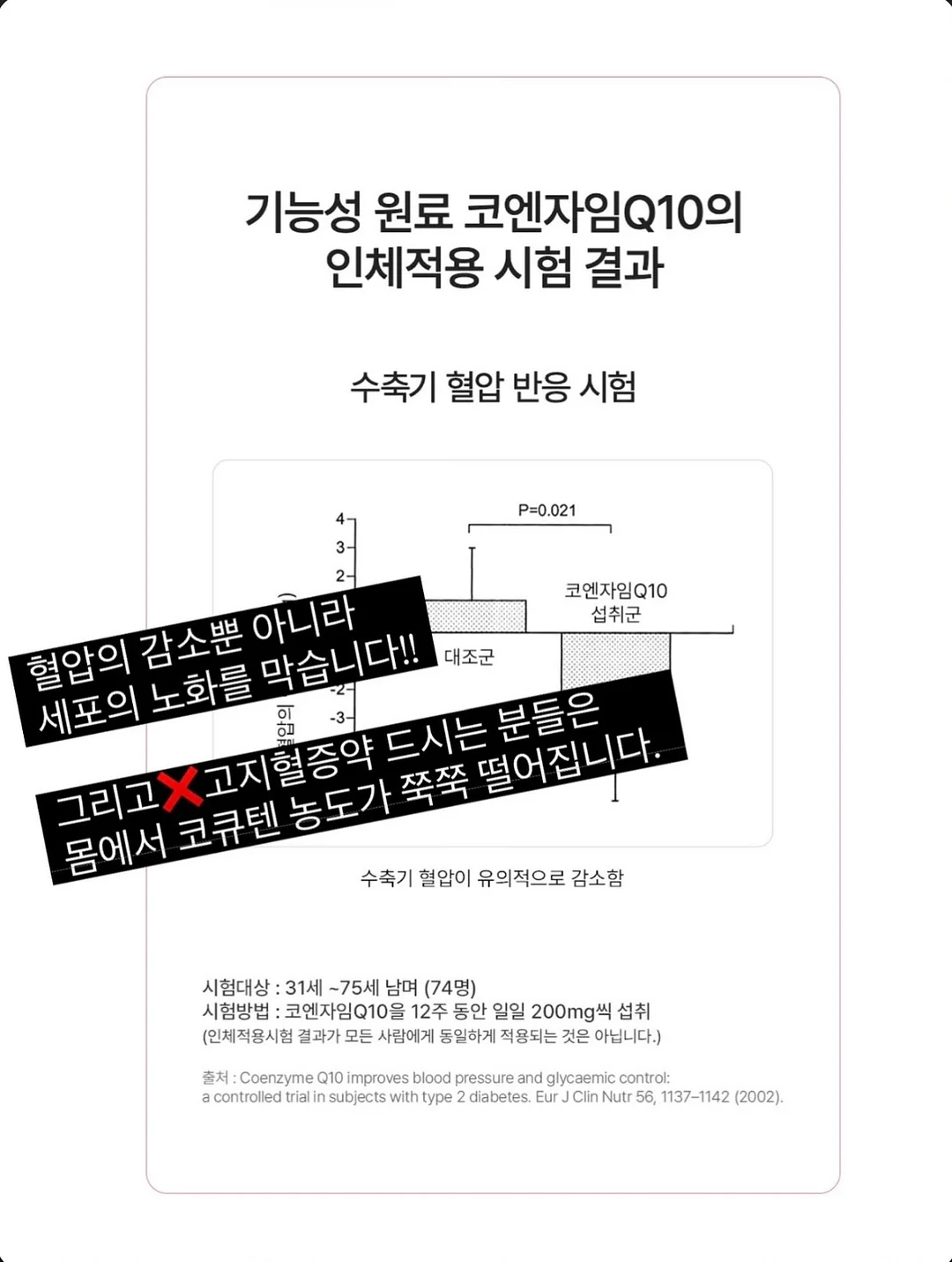 제주 꽃바구니 3