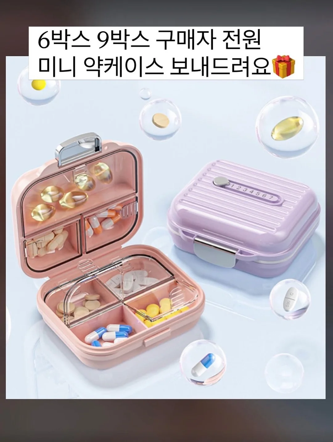 제주 꽃바구니 6