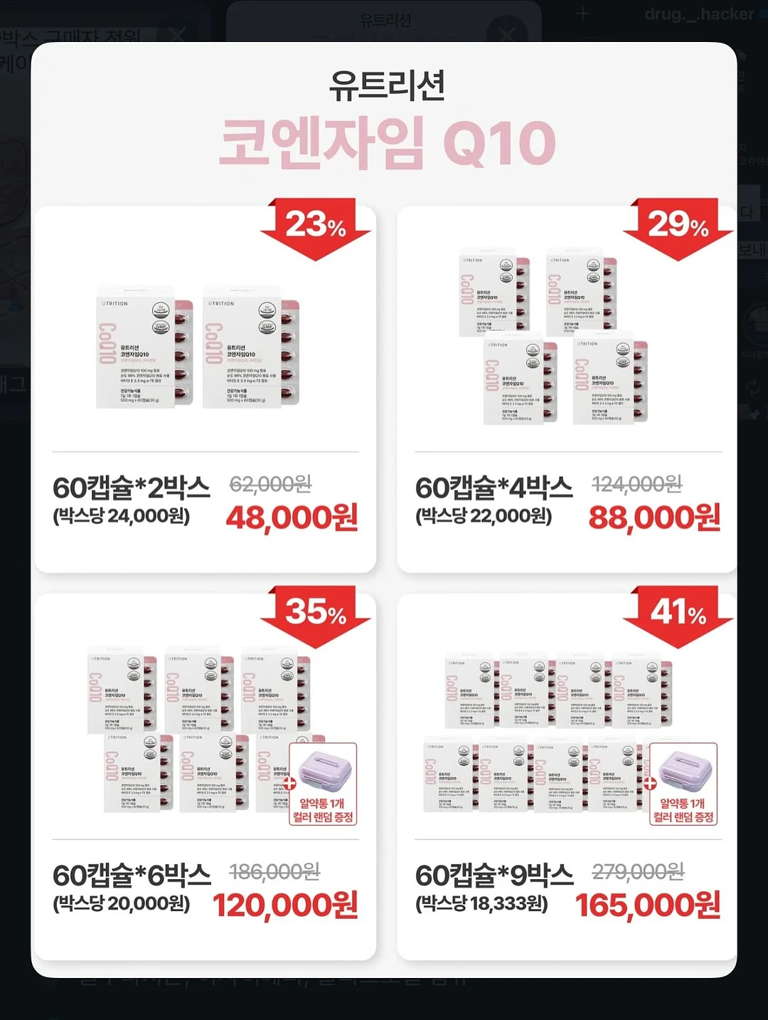 제주 꽃바구니 7