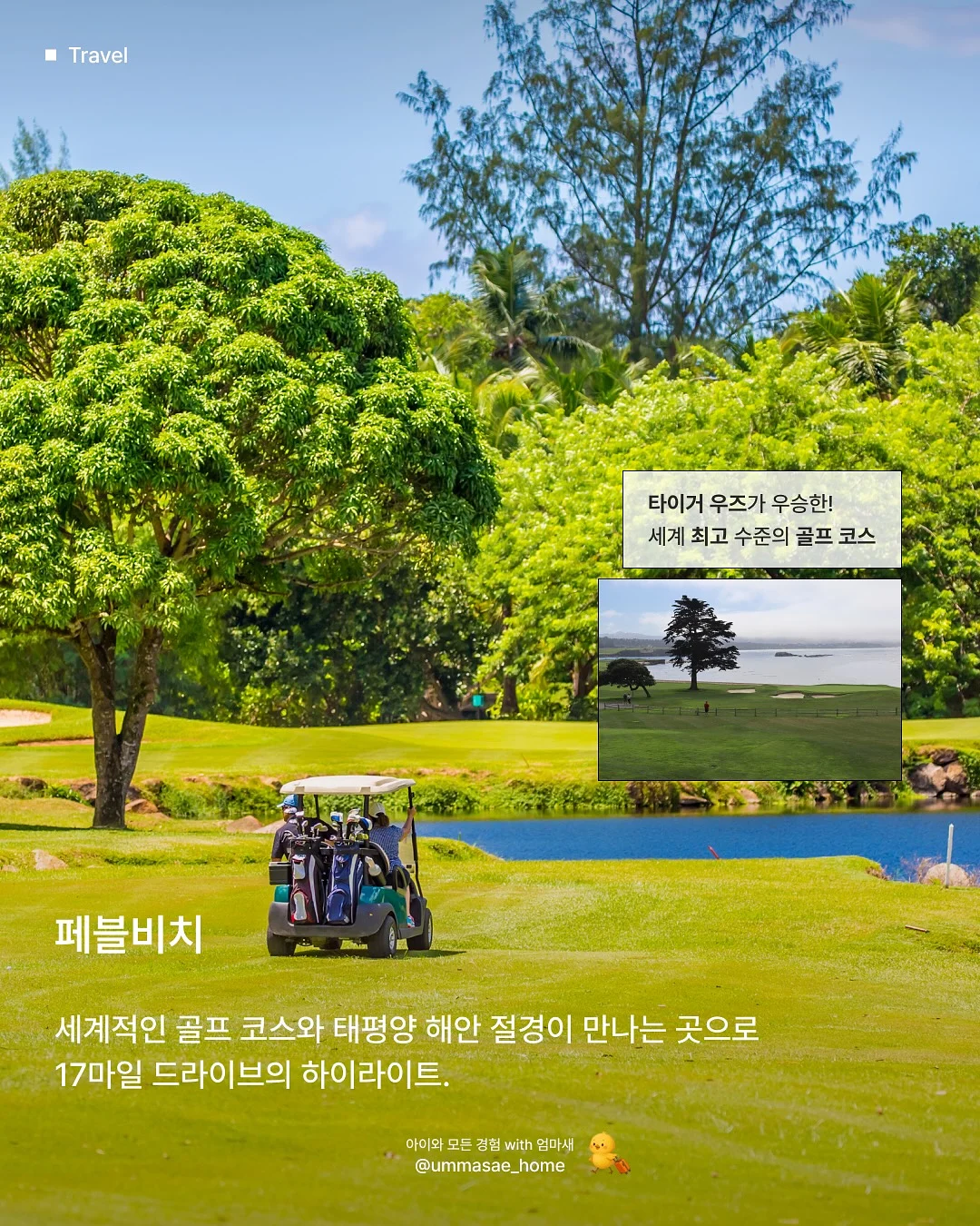 키캡 / 클리커 6