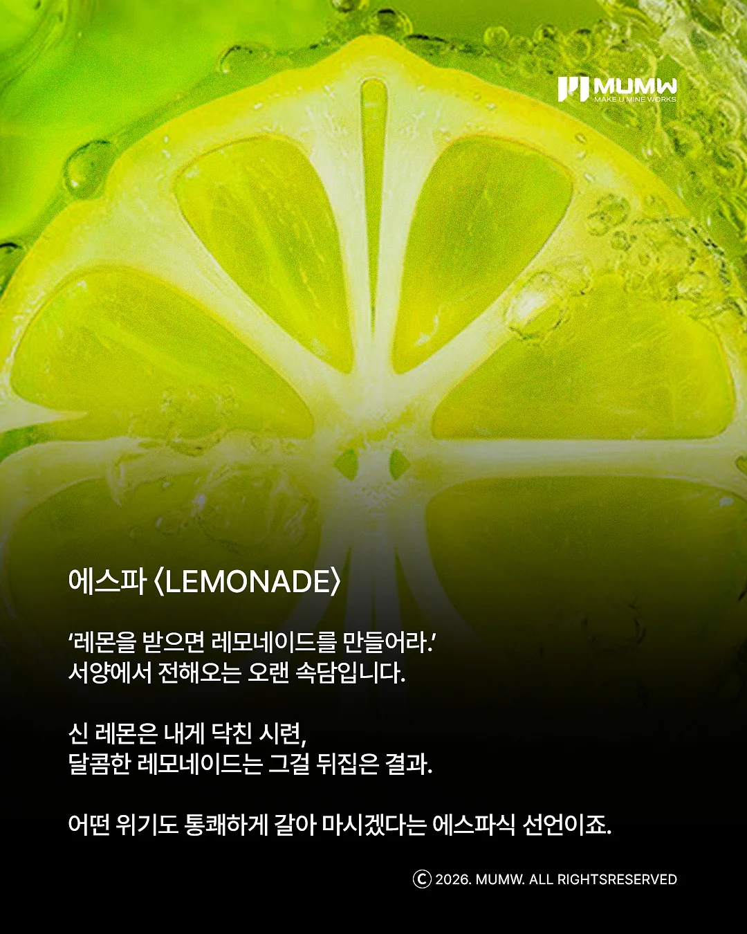 브랜드 신발용 방수 커버 2