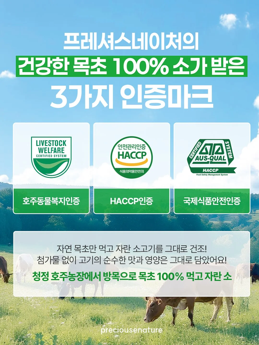 몰딩 19