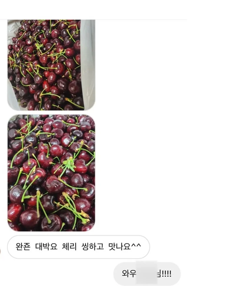 핸드타올 11