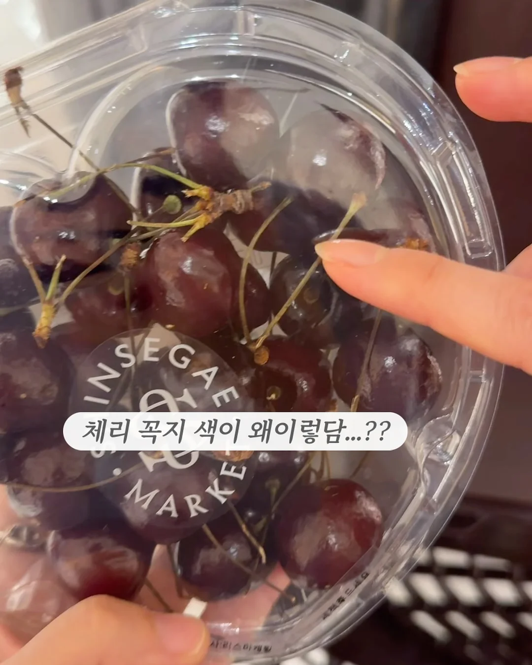 핸드타올 2