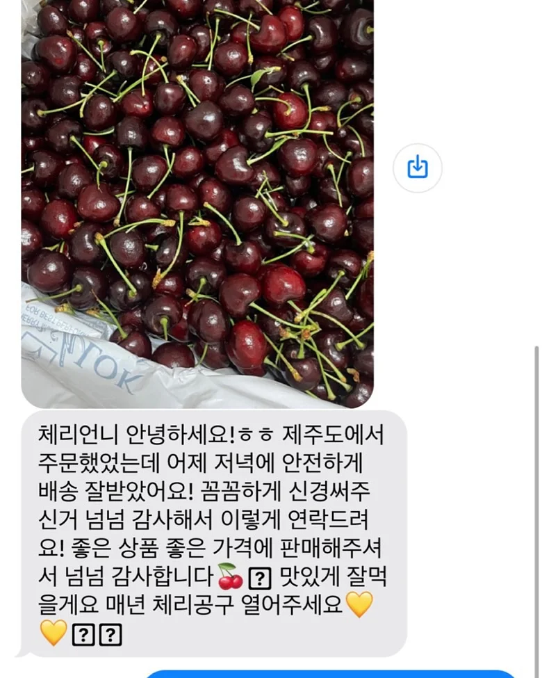 핸드타올 7