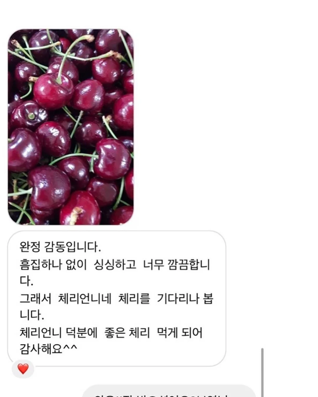 핸드타올 9