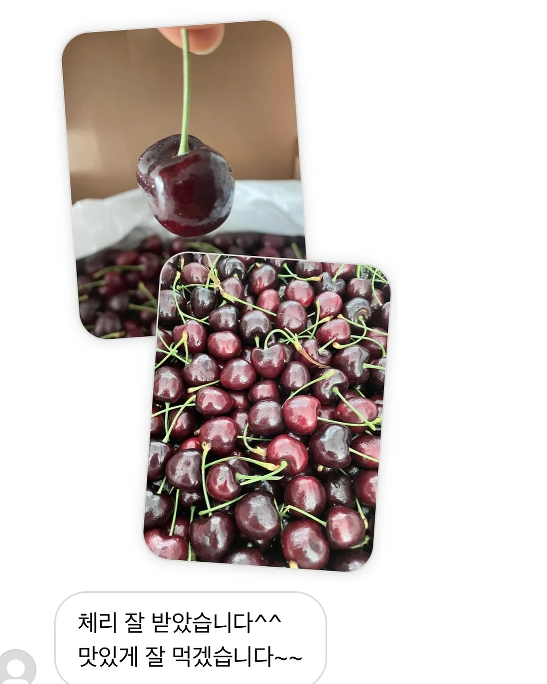 핸드타올 10