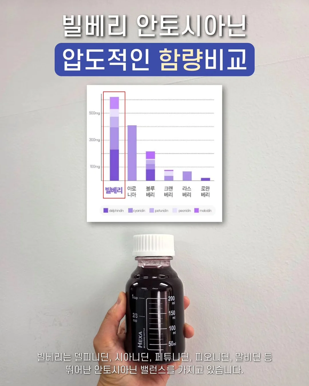 코코 쌍가락지 4