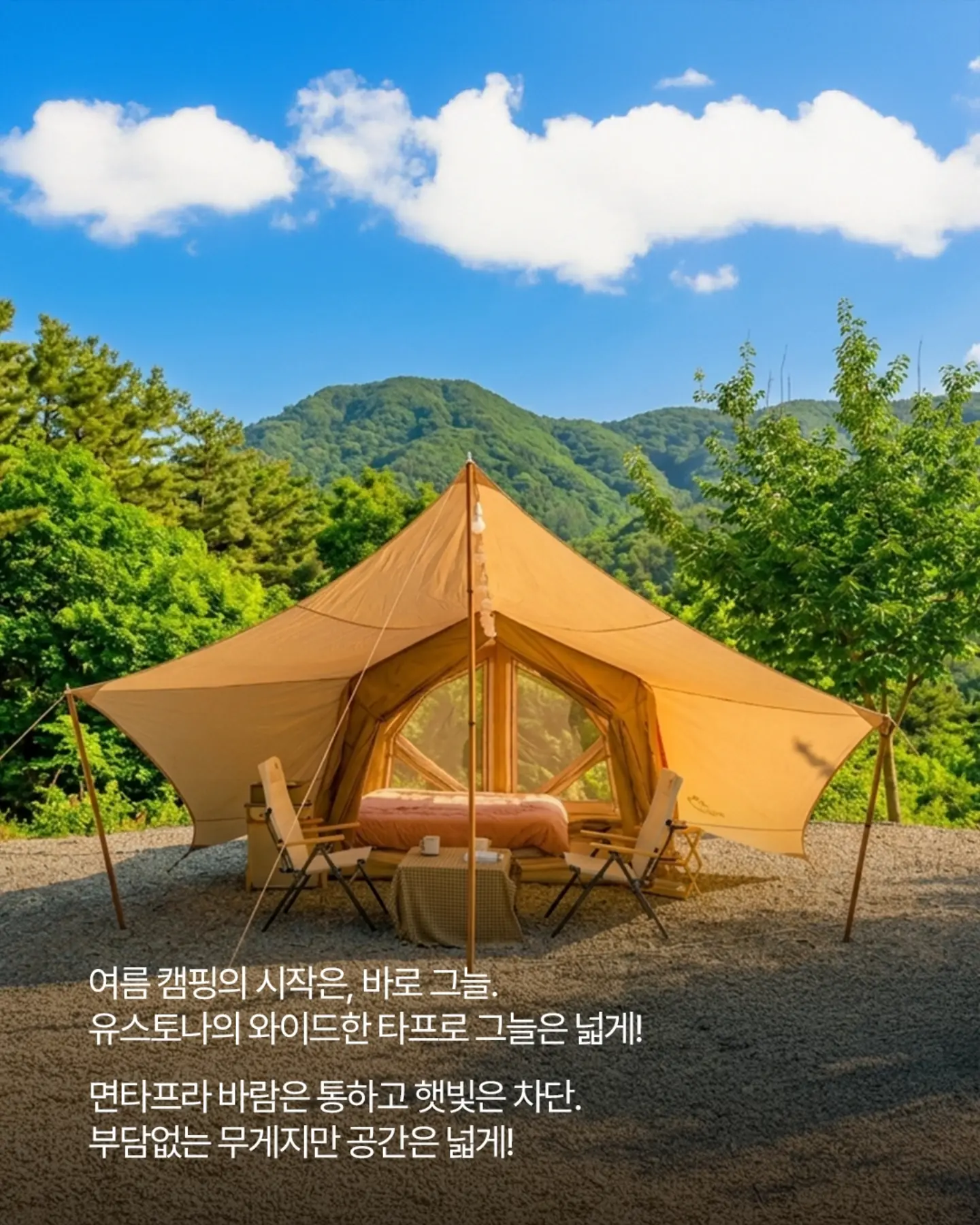 건기식+비타민+유산균 2