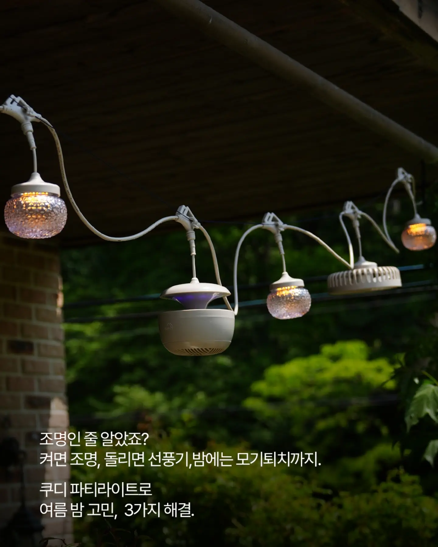 건기식+비타민+유산균 3