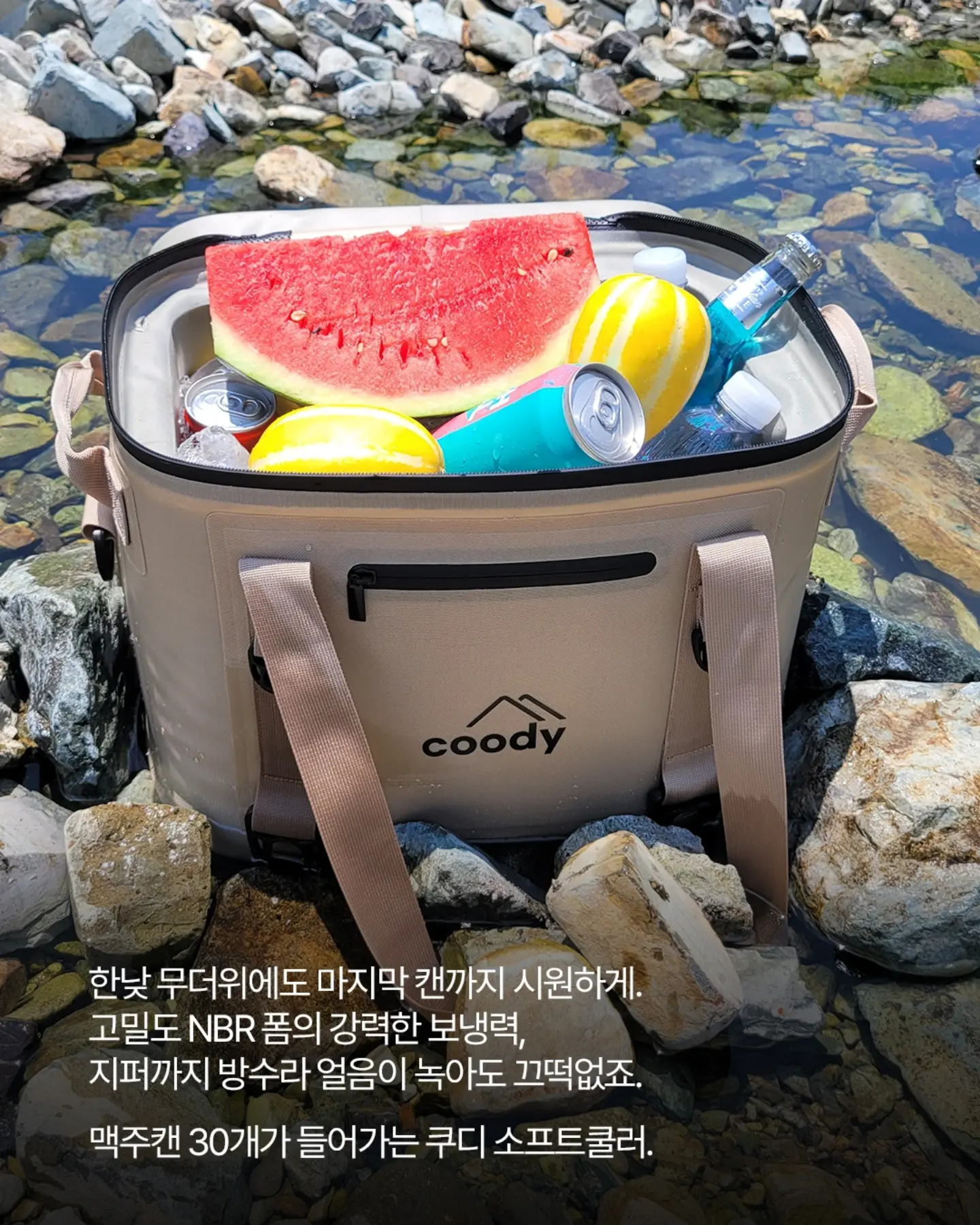 건기식+비타민+유산균 4