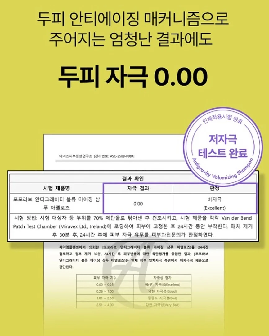커큐민 12