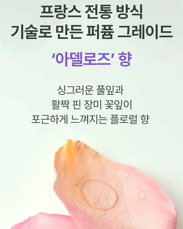 커큐민 9