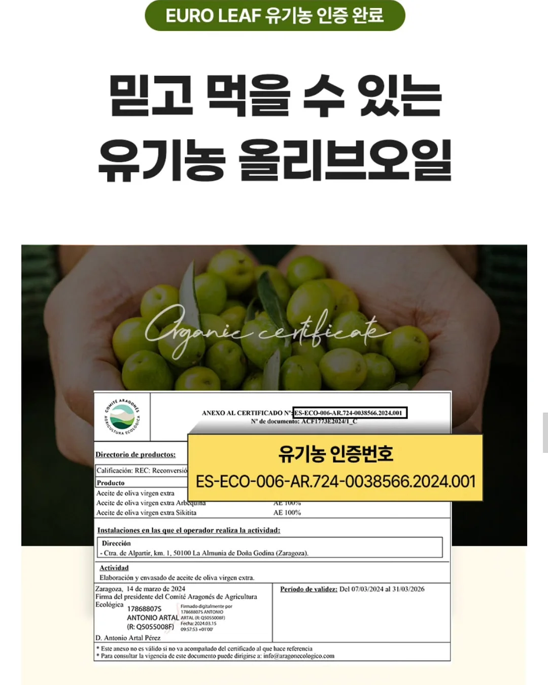 긴 래쉬가드 11