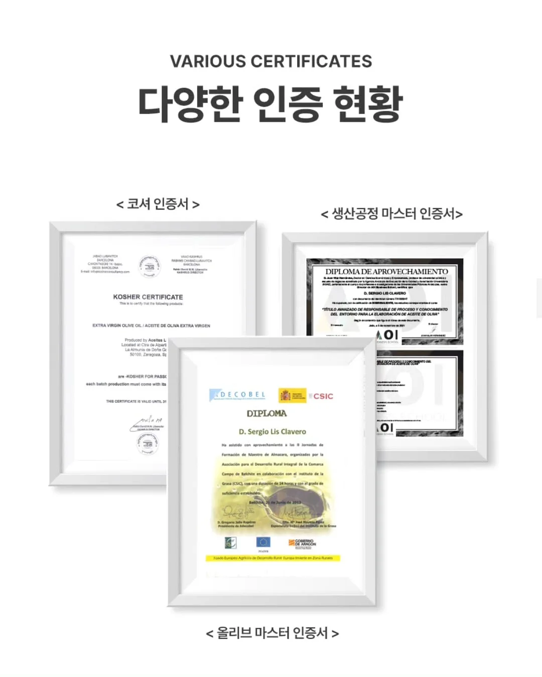 긴 래쉬가드 13