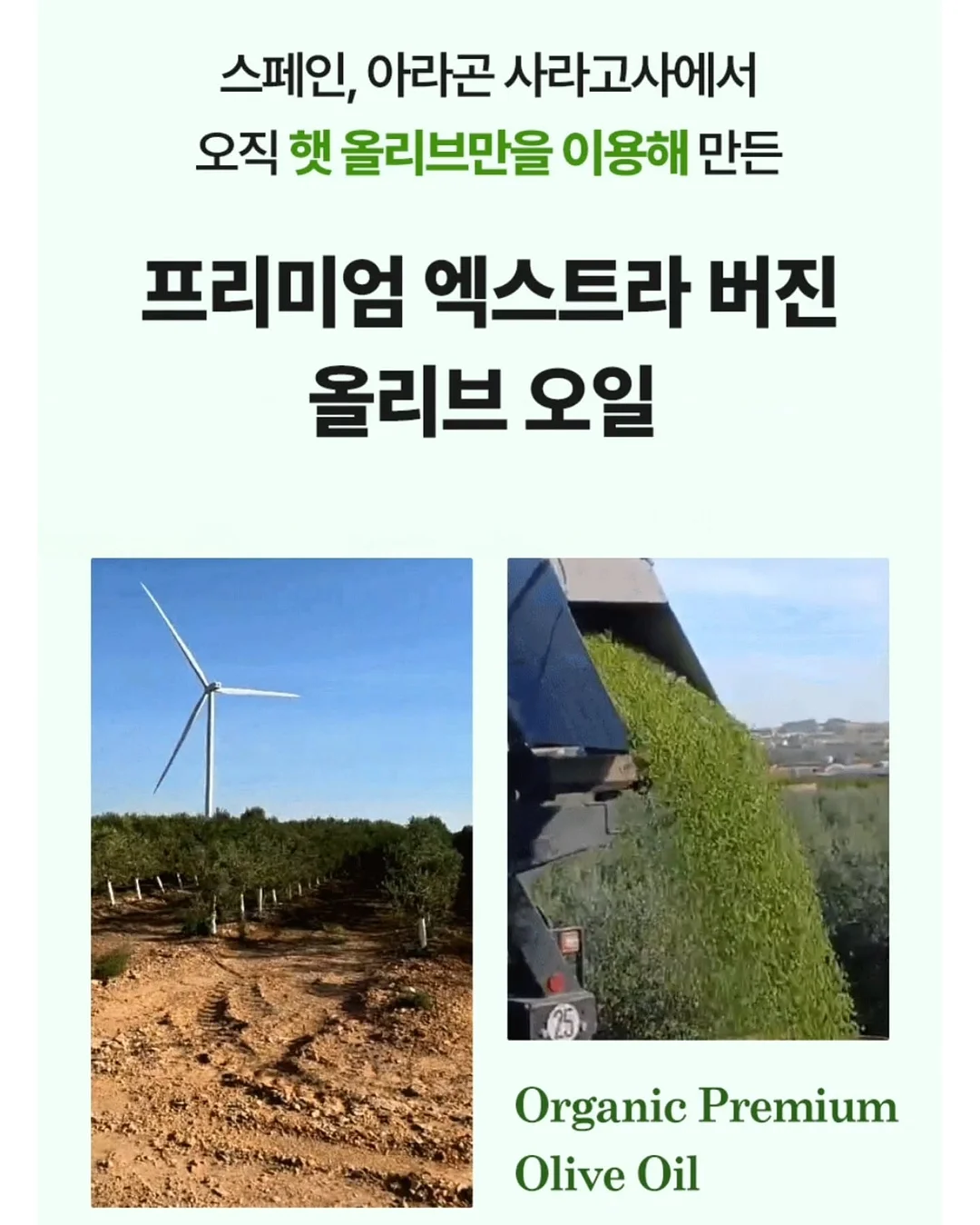 긴 래쉬가드 17