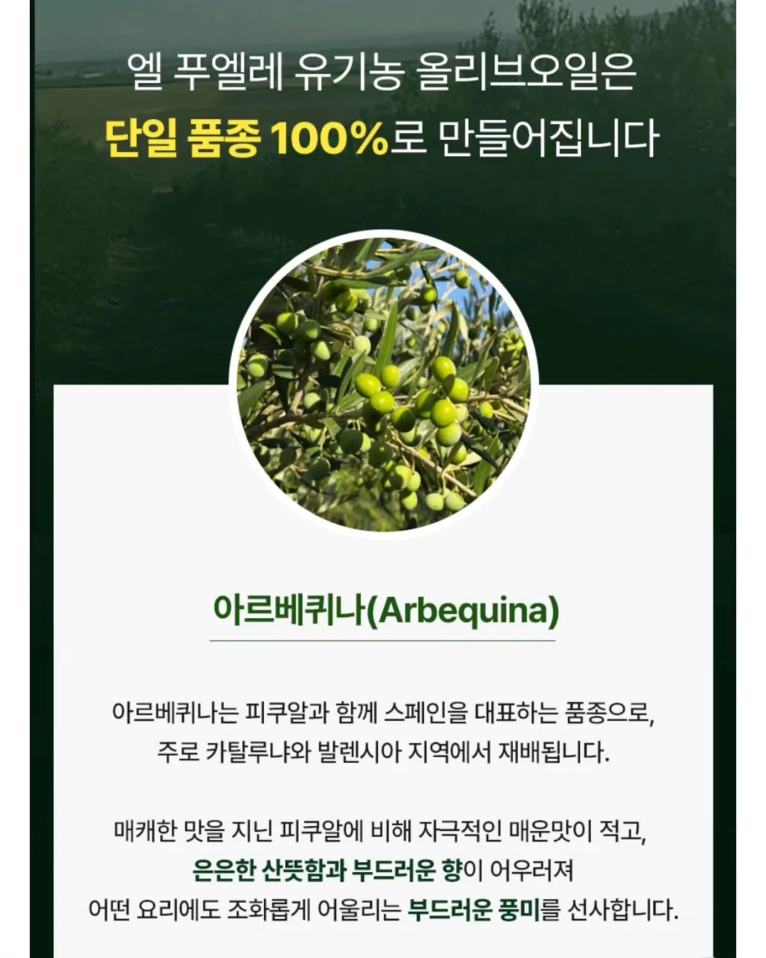 긴 래쉬가드 9