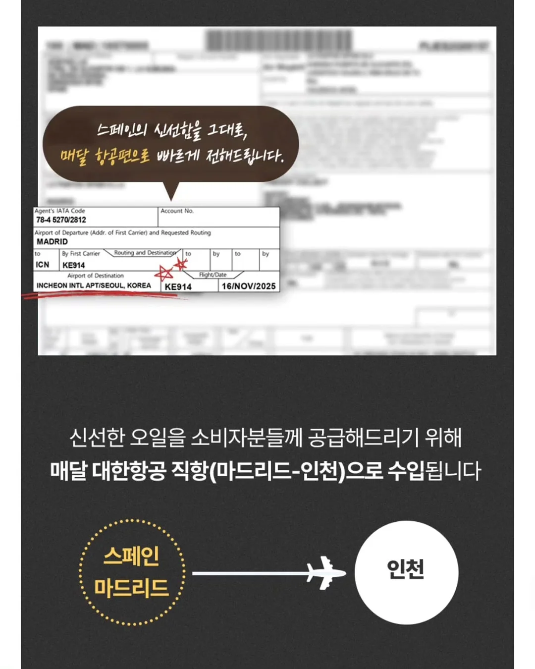 긴 래쉬가드 10