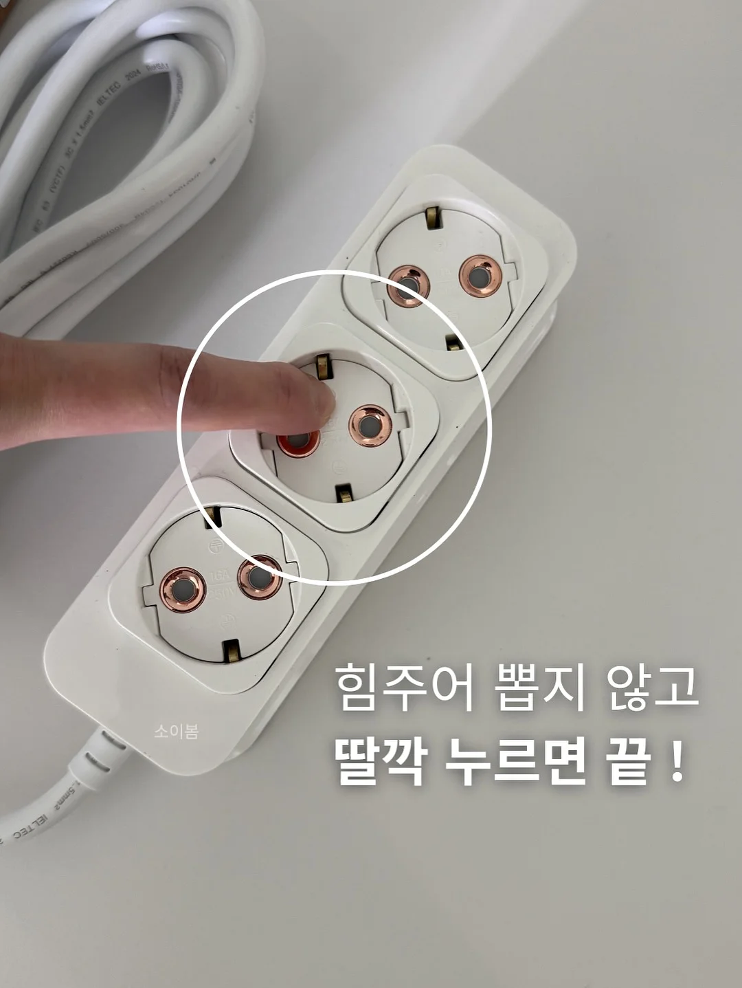 레몬파운드 11