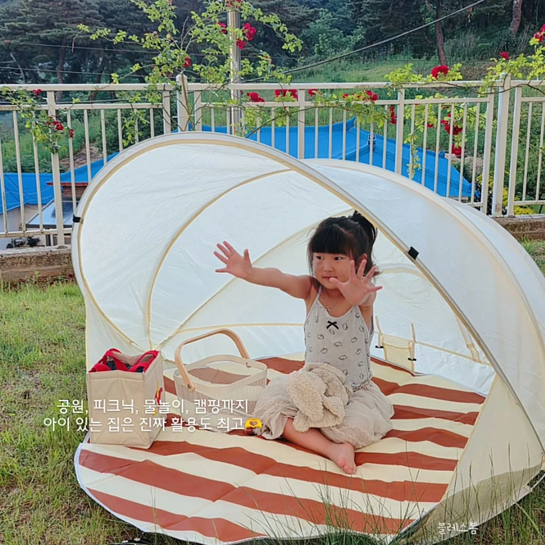 검정왕개미 키우기 키트 4
