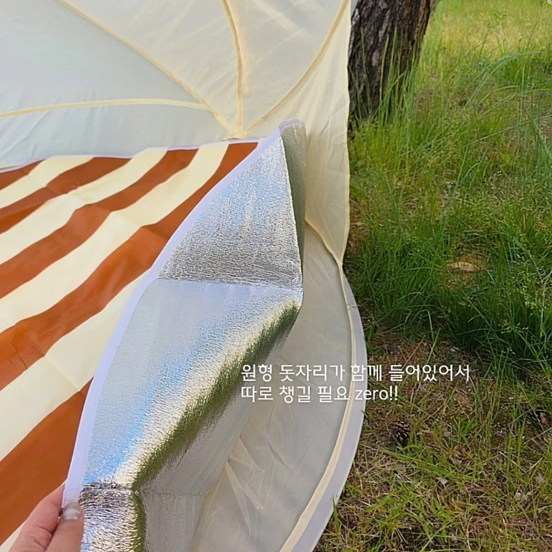검정왕개미 키우기 키트 6