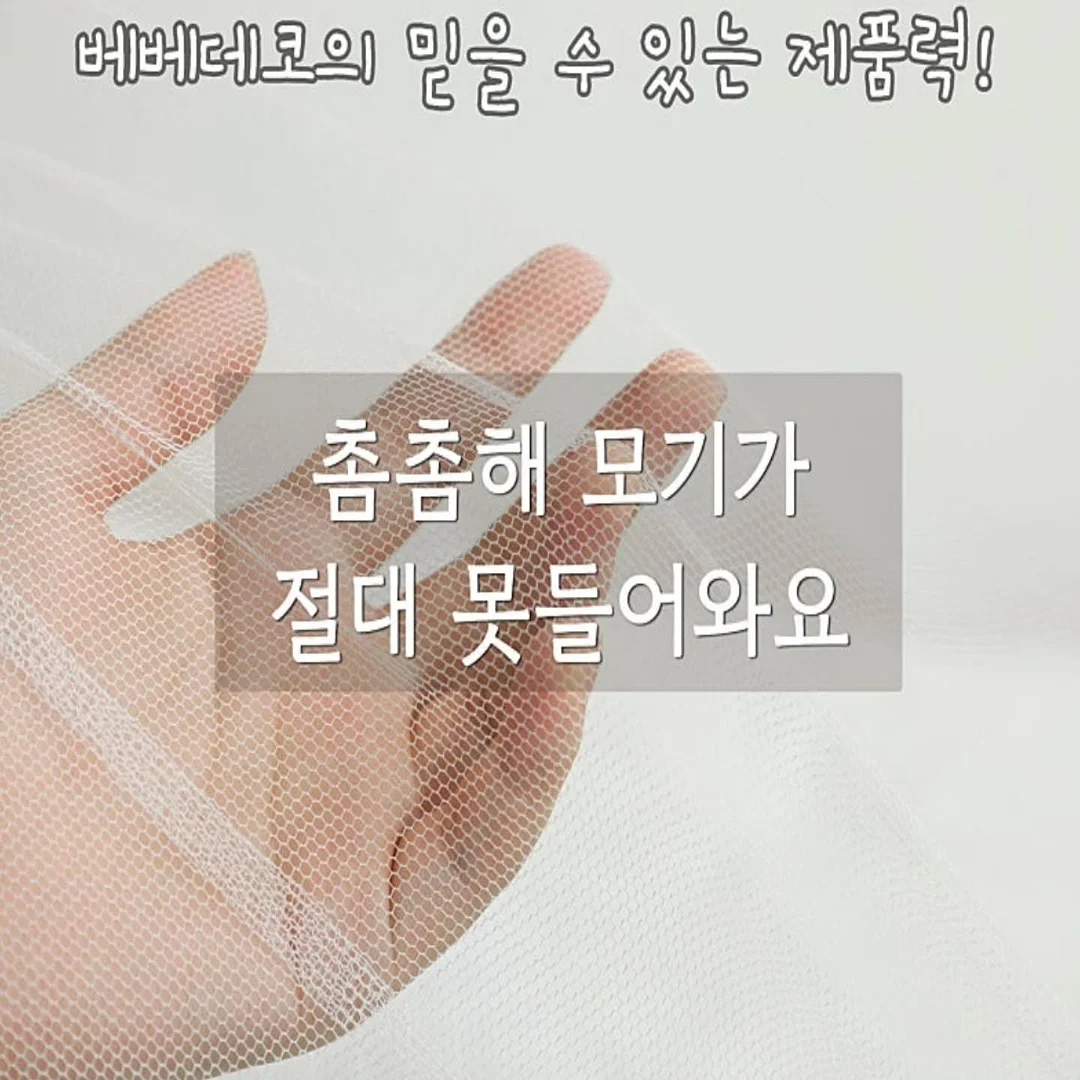 검정왕개미 키우기 키트 8