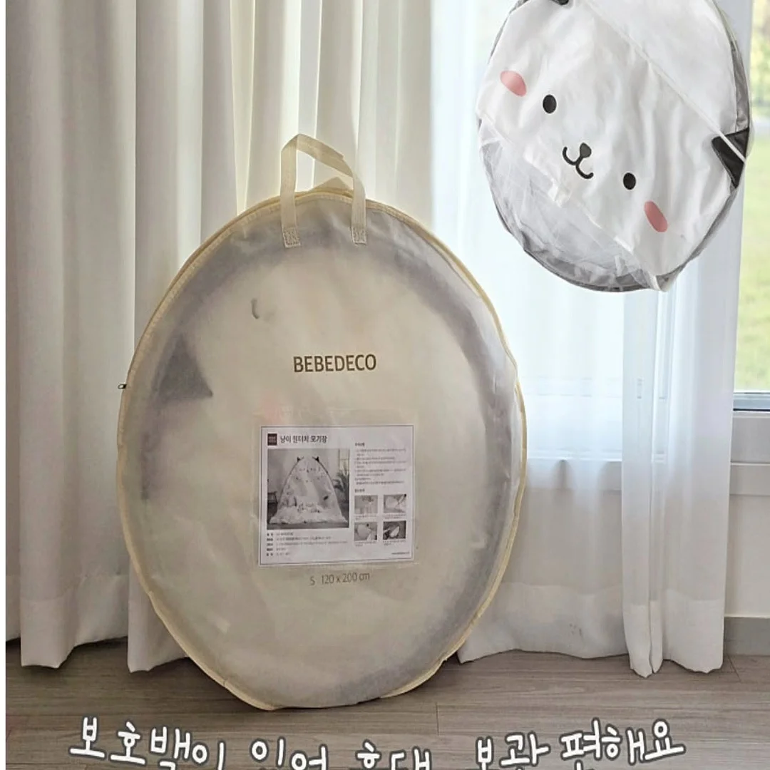 검정왕개미 키우기 키트 9