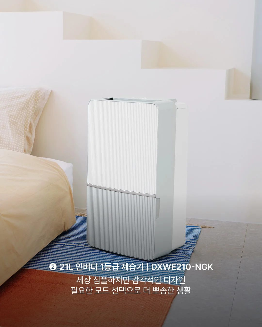 속눈썹펌+브로우리프트펌 수강 클래스 3