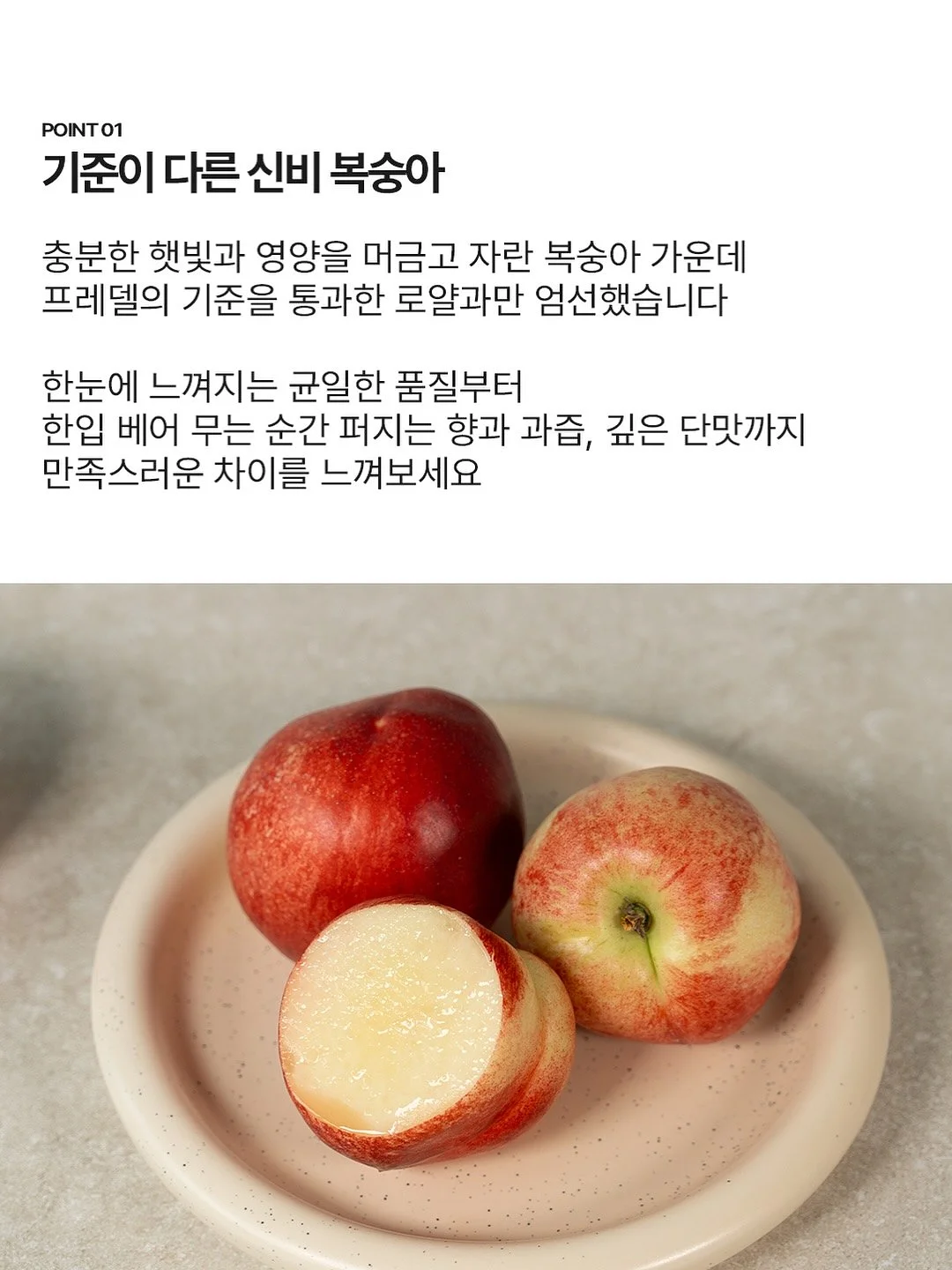 소이네 두쫀쿠 11