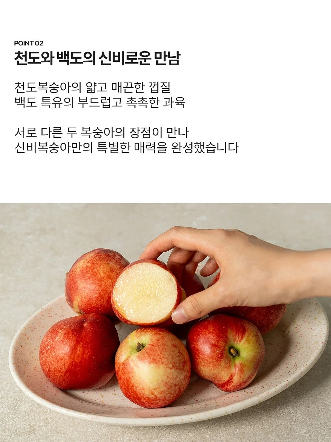 소이네 두쫀쿠 12