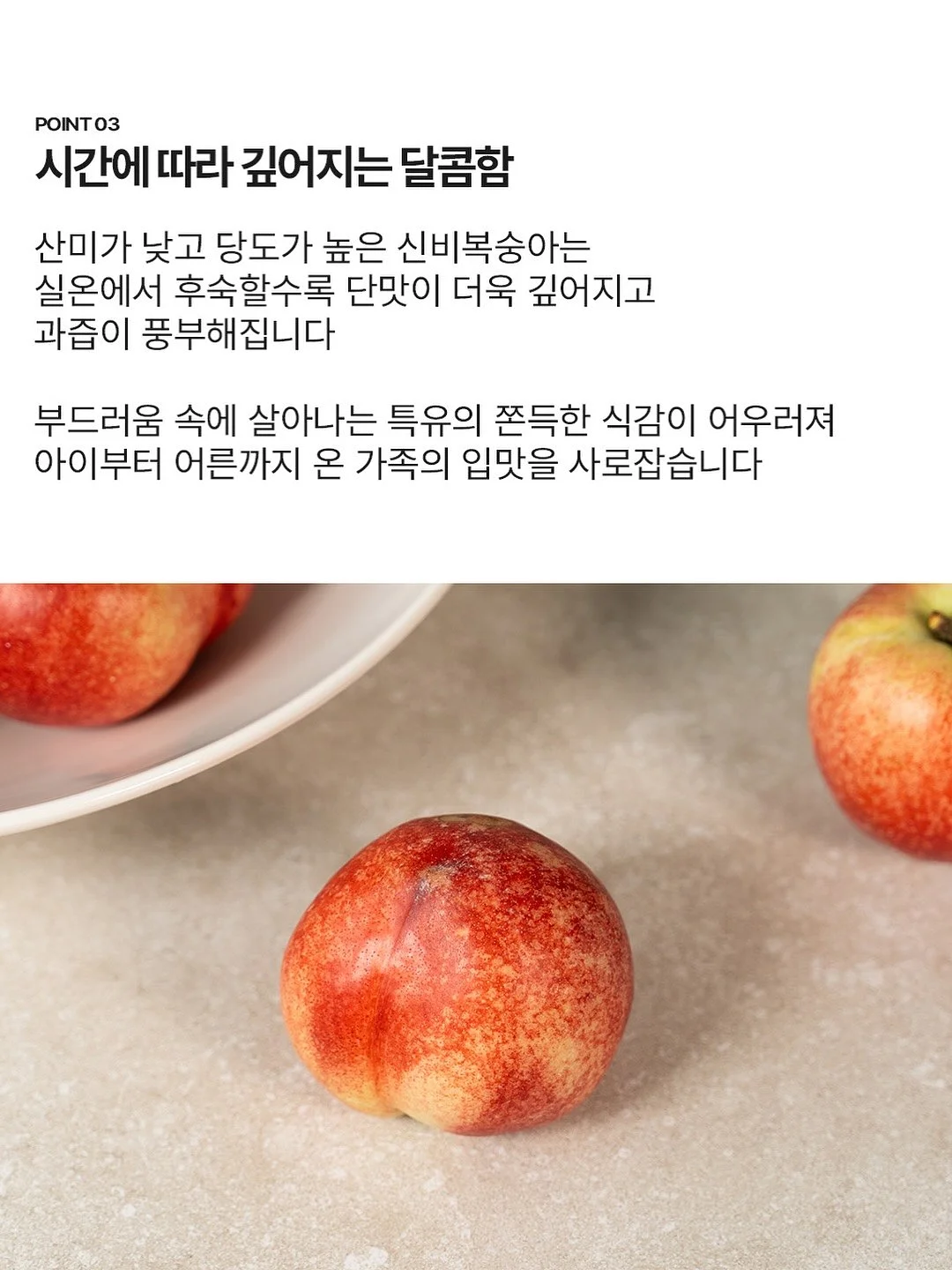 소이네 두쫀쿠 13
