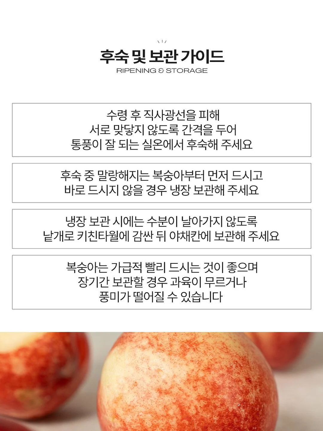 소이네 두쫀쿠 14