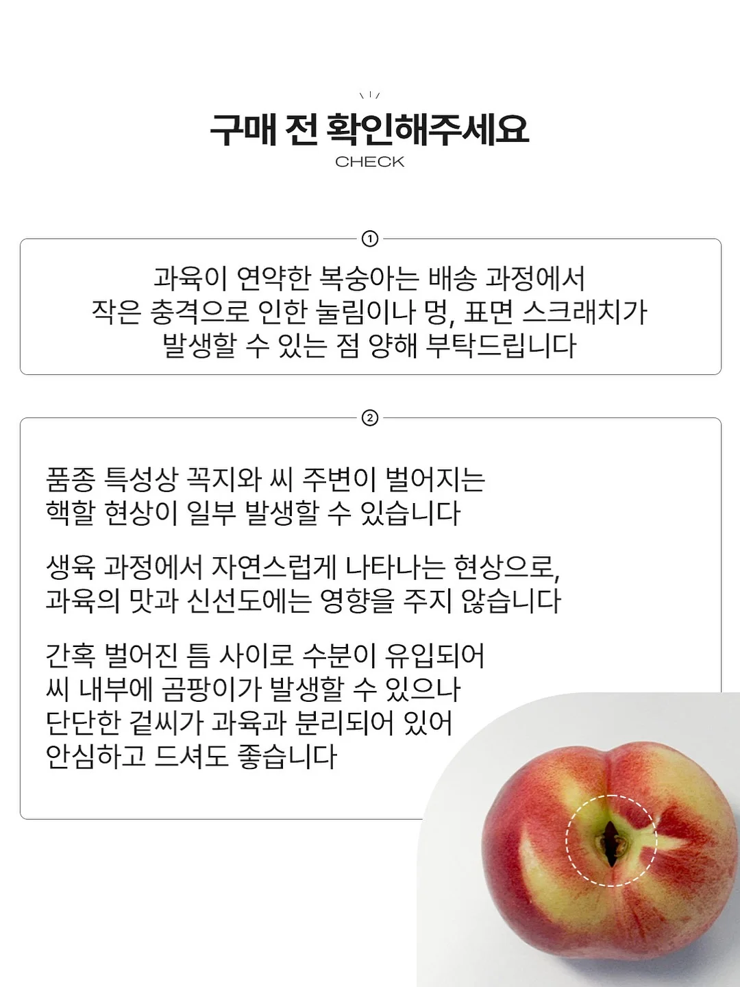 소이네 두쫀쿠 16