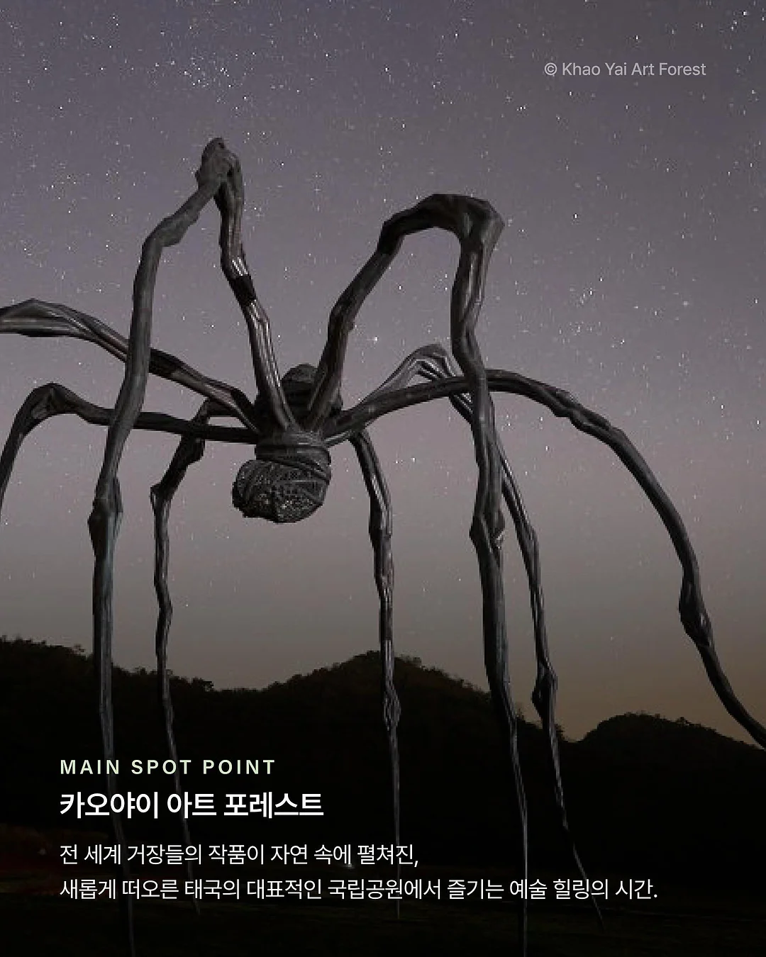 벚꽃 스냅 예약 4
