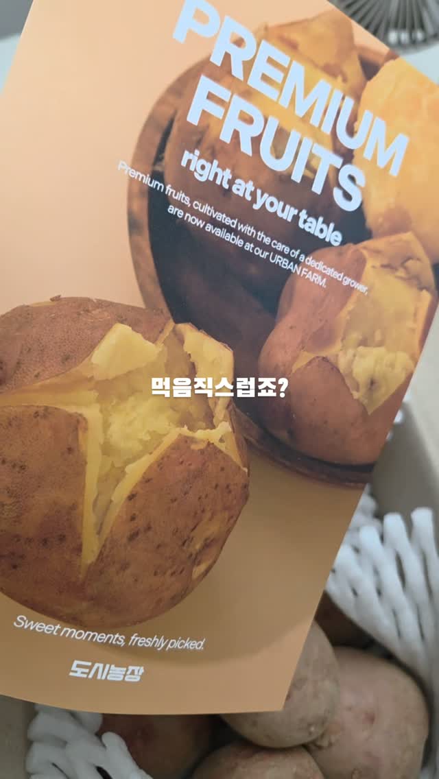 지역별 한달살기 여행지원금