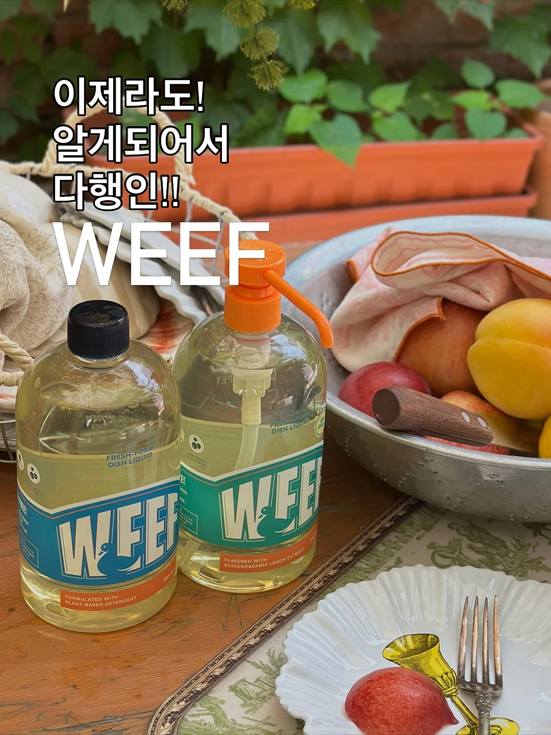쿠션 베개 8