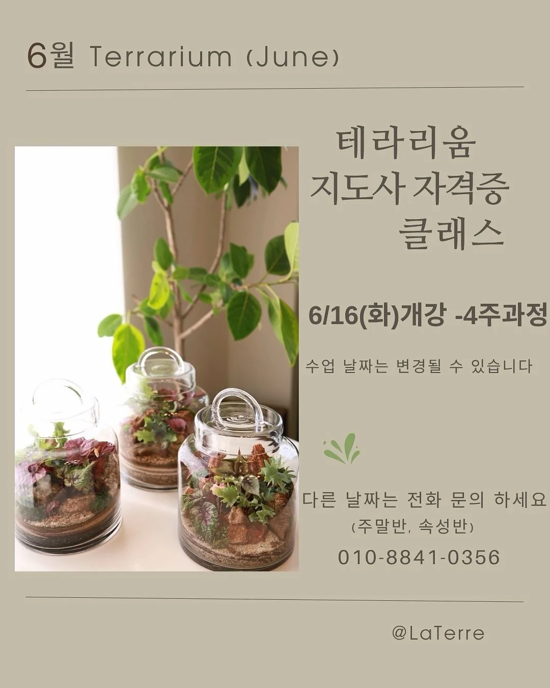 코큐텐 1