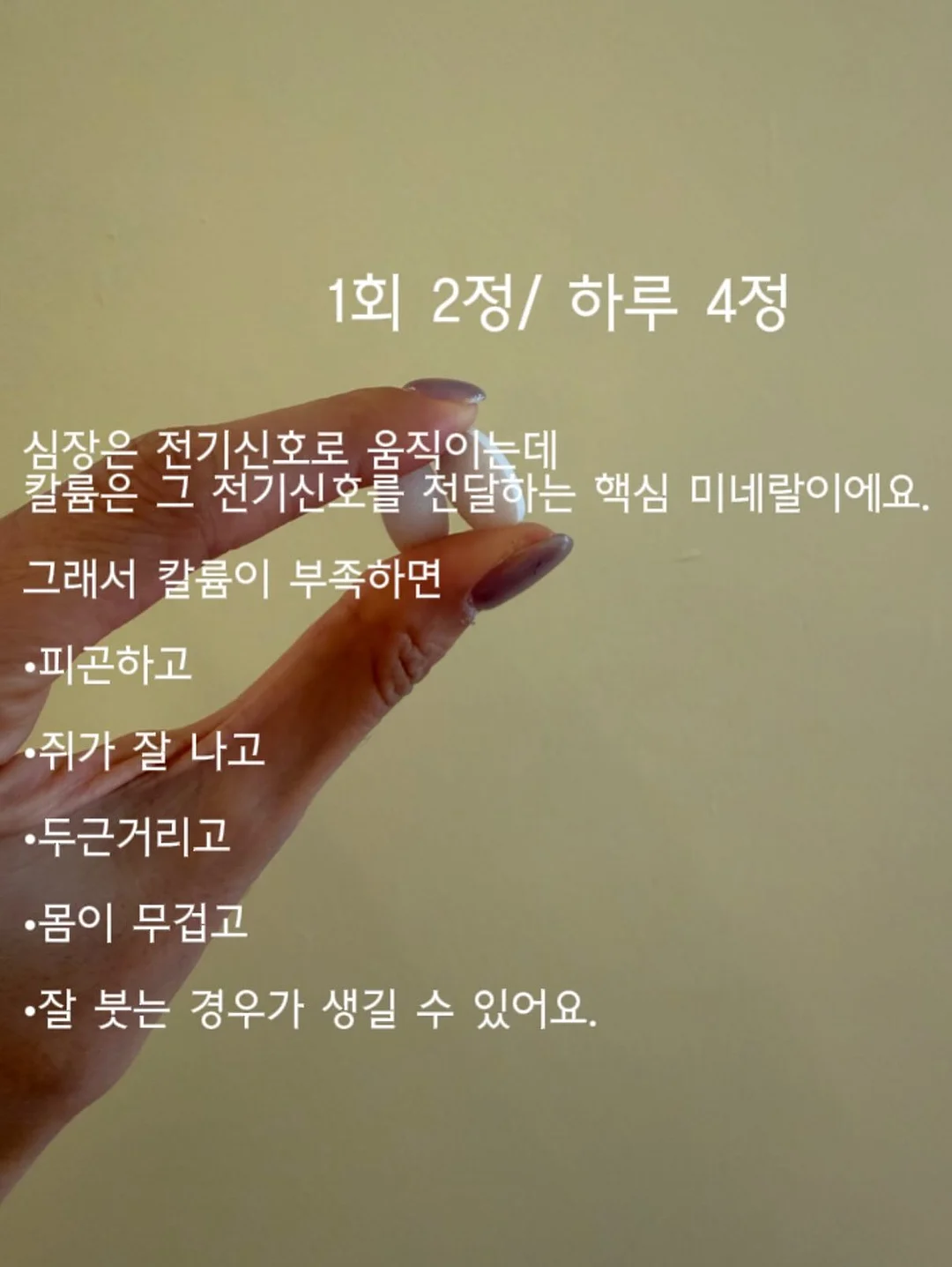 프리미엄 버클포트 토드백 5