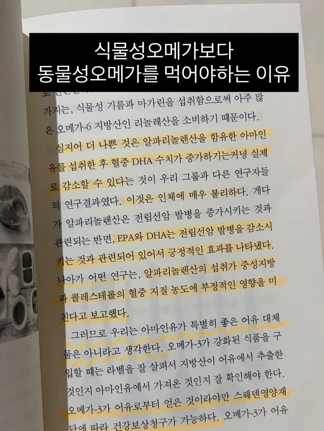 마이온 아카데미 레슨 5