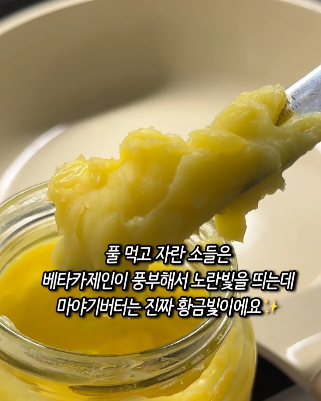 그린레시핏 3