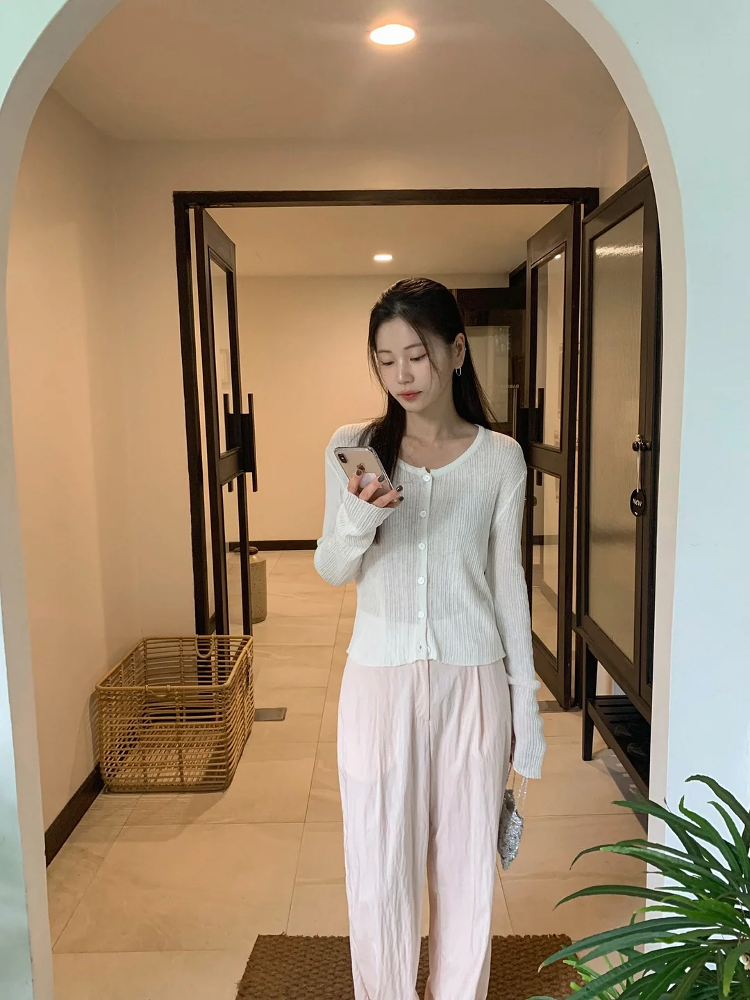 팍스트라 캐리어 12