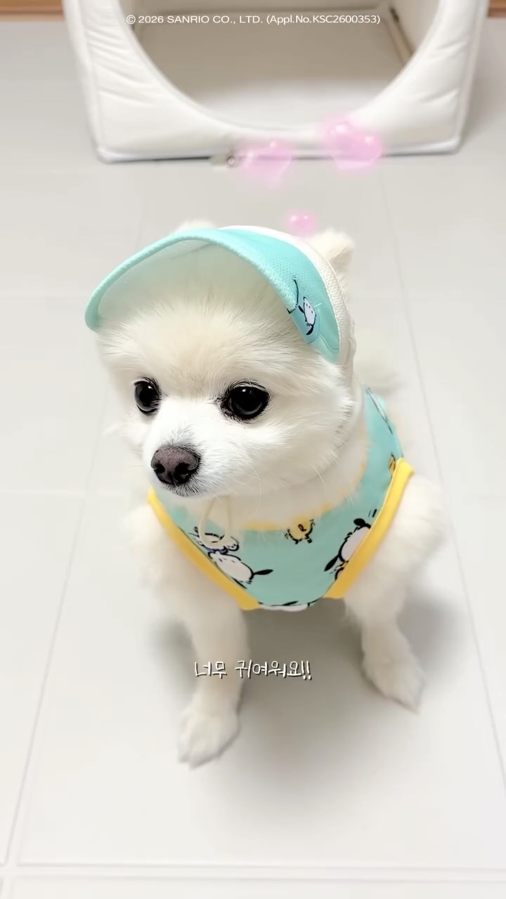 휴대용 아기의자