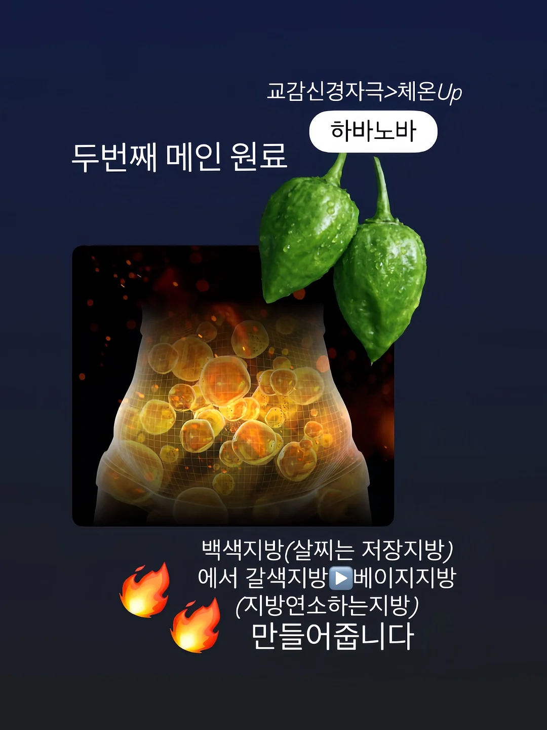 경락 관리 2