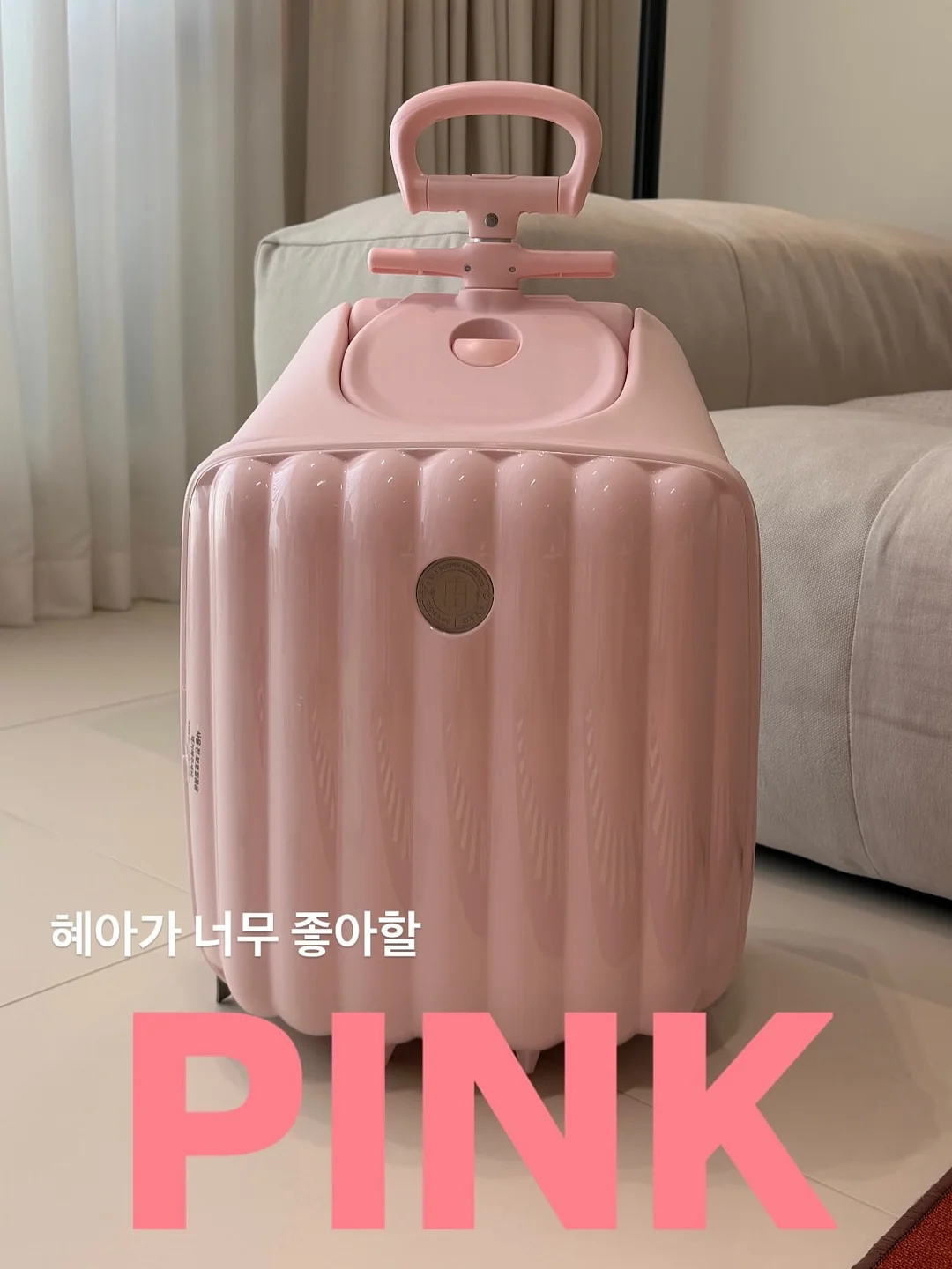 국산 유기농 생 블루베리 2kg 11