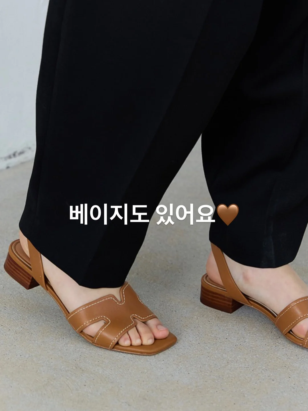 뉴튤립돔 5