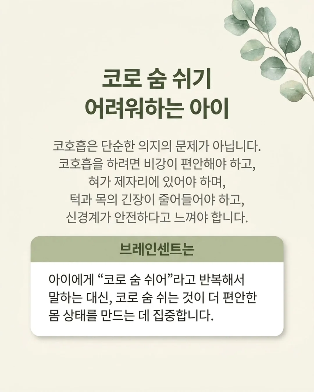 나시 13