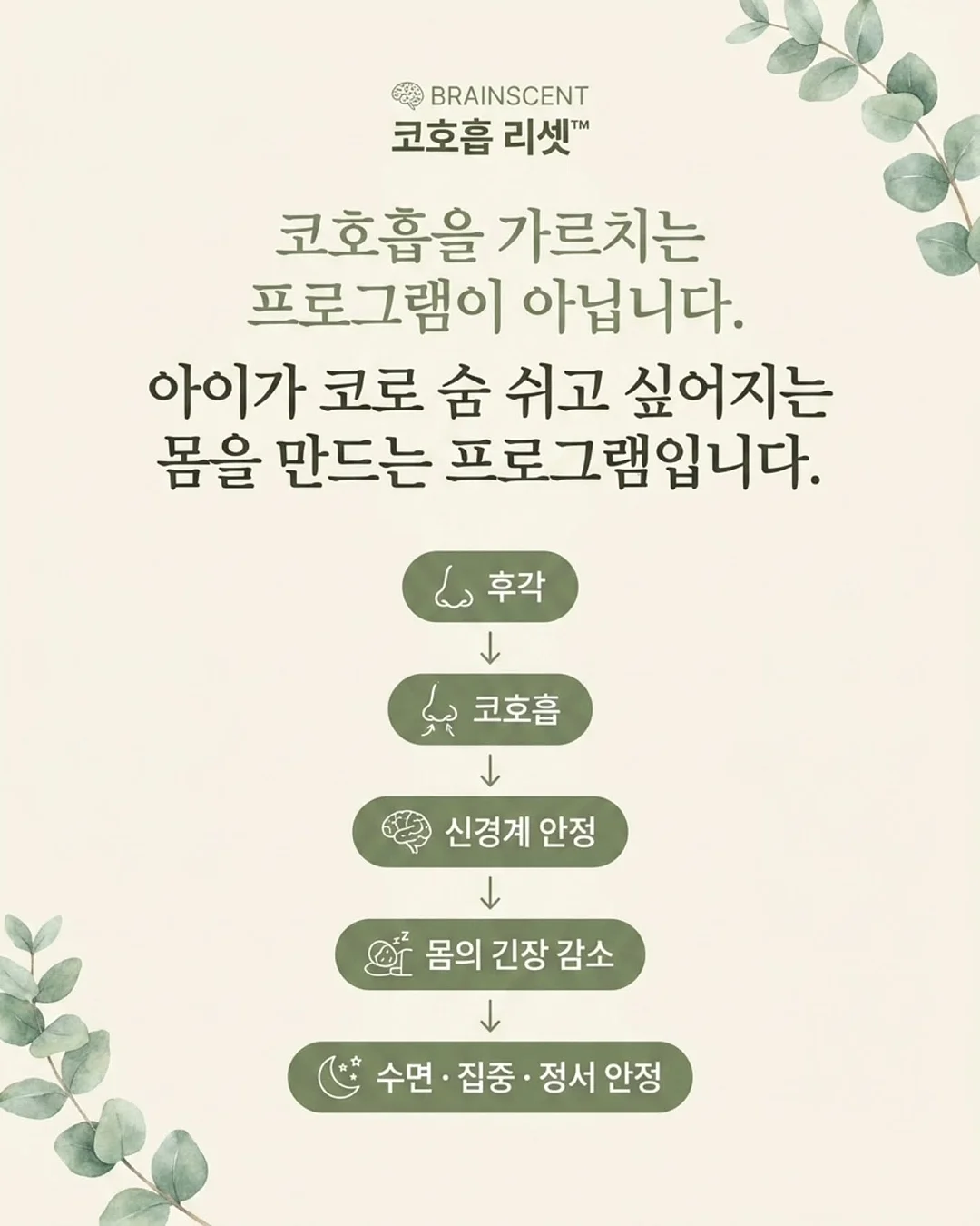 나시 15